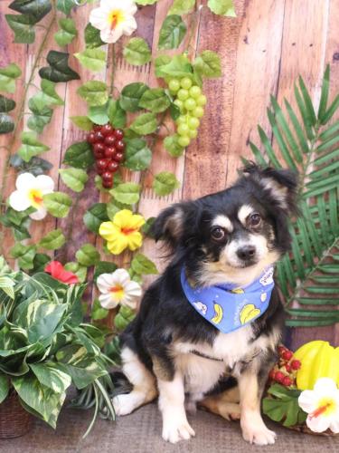 20230806レオくん